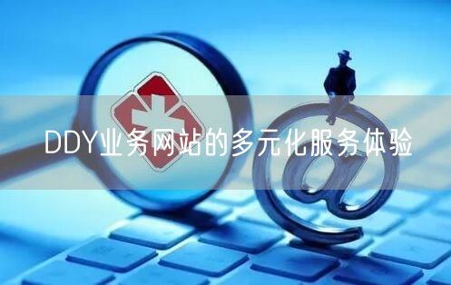 DDY业务网站的多元化服务体验