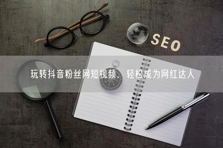 玩转抖音粉丝网短视频，轻松成为网红达人