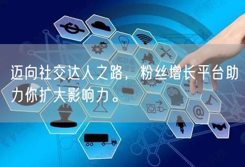 迈向社交达人之路，粉丝增长平台助力你扩大影响力。