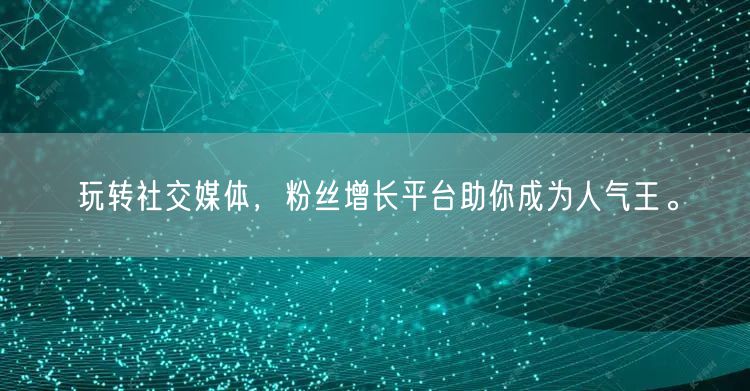玩转社交媒体，粉丝增长平台助你成为人气王。