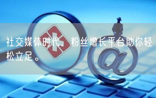 社交媒体时代，粉丝增长平台助你轻松立足。