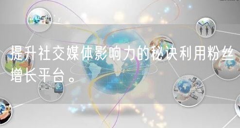 提升社交媒体影响力的秘诀利用粉丝增长平台。