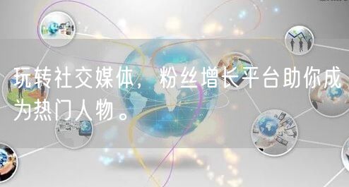 玩转社交媒体，粉丝增长平台助你成为热门人物。