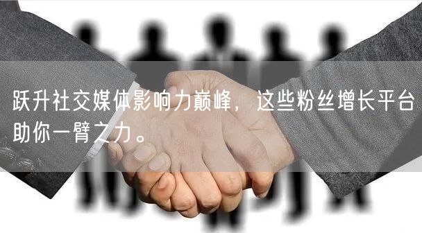 跃升社交媒体影响力巅峰，这些粉丝增长平台助你一臂之力。