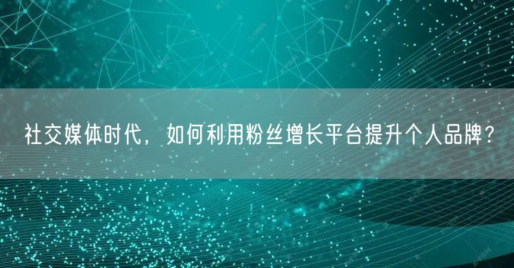 社交媒体时代，如何利用粉丝增长平台提升个人品牌？