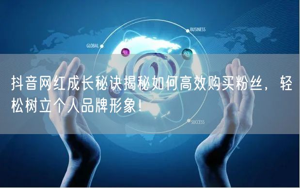 抖音网红成长秘诀揭秘如何高效购买粉丝，轻松树立个人品牌形象！