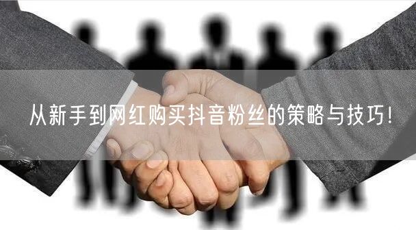 从新手到网红购买抖音粉丝的策略与技巧！