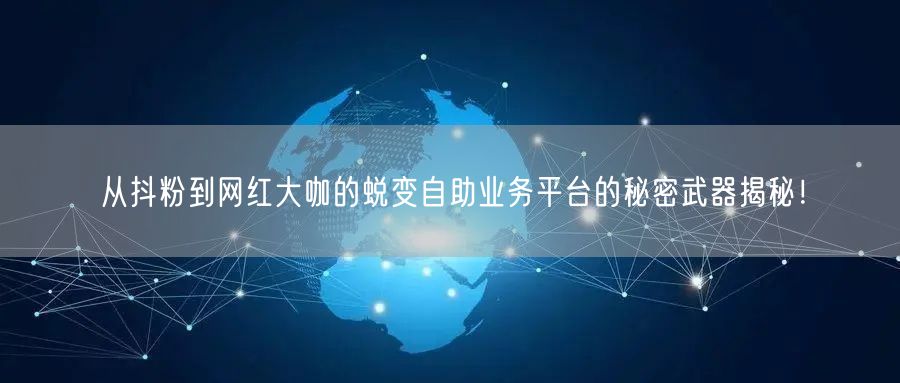 从抖粉到网红大咖的蜕变自助业务平台的秘密武器揭秘！